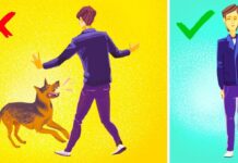 Ako sa chrániť pred útokom agresívneho psa? LajfHeky