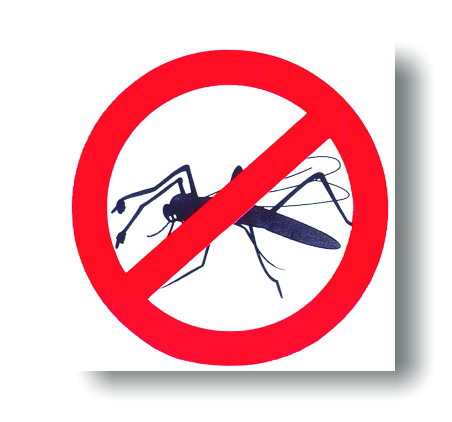 Ako sa zbaviť komárov