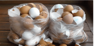 Vaječné škrupiny do záhradky