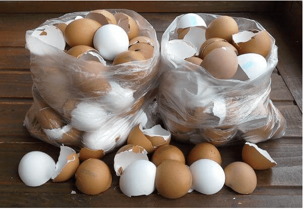 Vaječné škrupiny do záhradky